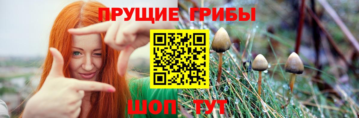 Галлюциногенные грибы GOLDEN TEACHER  Галлюциногенные грибы MAGIC MUSHROOMS  Минеральные Воды  Вход с VPN 